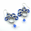 Blue Nose's PawPrints Earrings with Swarovski Crystal Bead Dangles Blue Nose's PawPrints Earrings with Swarovski Crystal Bead Dangles